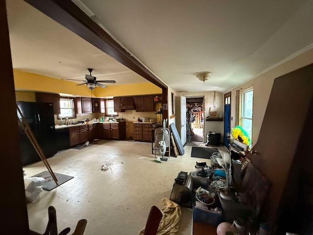 miscellaneous room with ceiling fan, crown molding, and sink