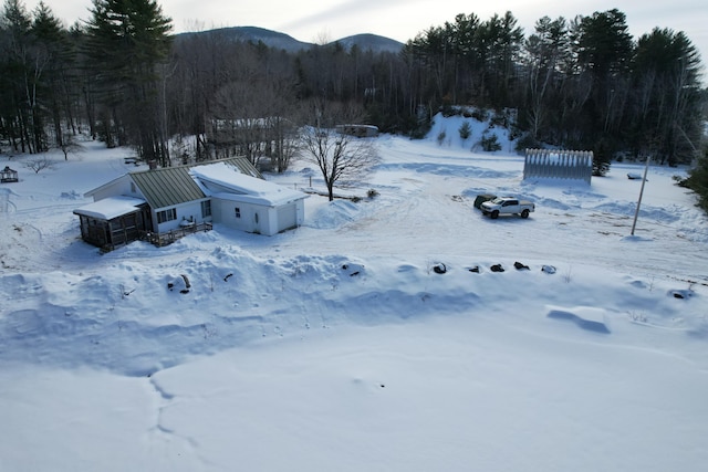 snowy aerial view featuring a view of trees