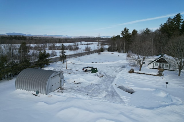 yard layered in snow with an outbuilding