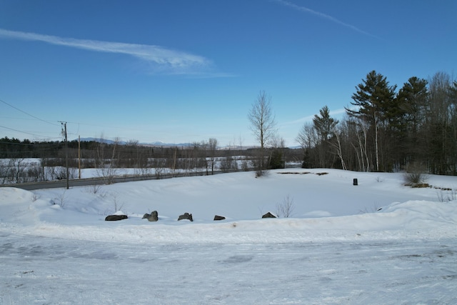 view of yard covered in snow