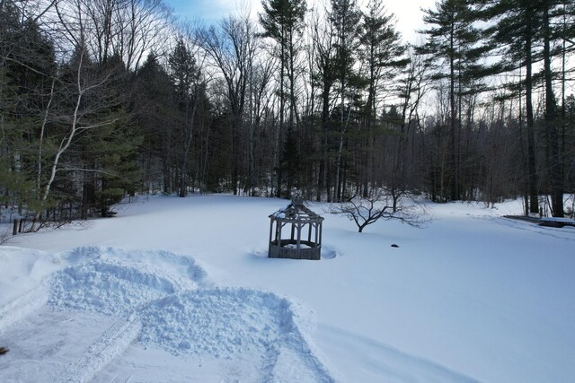 yard covered in snow with a view of trees