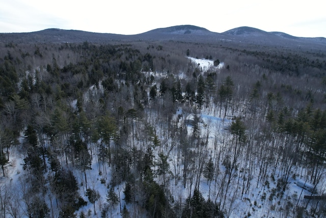 property view of mountains with a view of trees