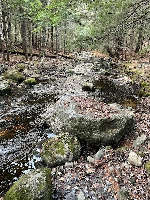 4 Bog Brook Loop, West Paris ME, 04289 land for sale