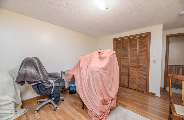 office space featuring a textured ceiling and light hardwood / wood-style flooring