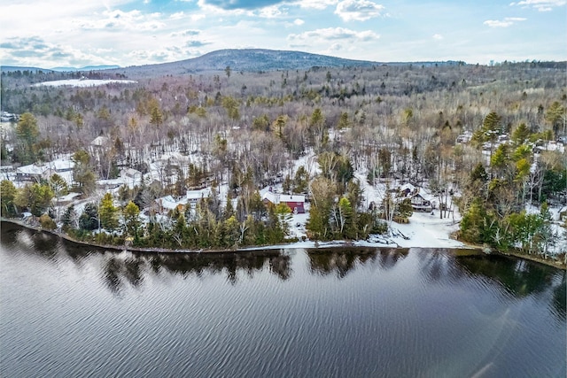 drone / aerial view featuring a water and mountain view