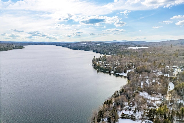 birds eye view of property with a water and mountain view