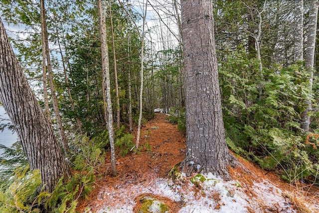 view of local wilderness