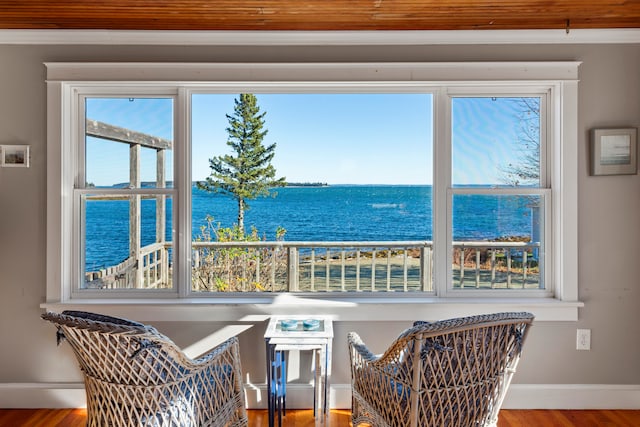 interior space featuring a water view, a wealth of natural light, and hardwood / wood-style flooring