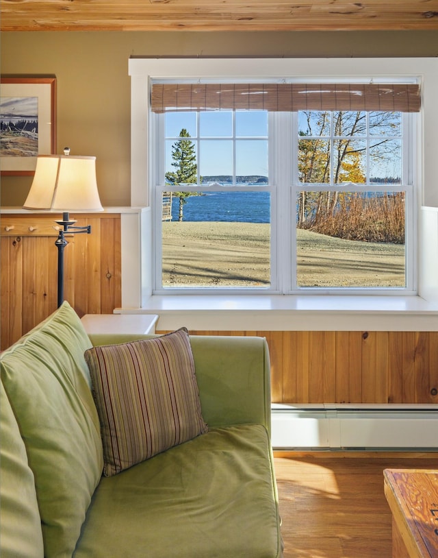 living area featuring a baseboard heating unit, a water view, plenty of natural light, and hardwood / wood-style flooring