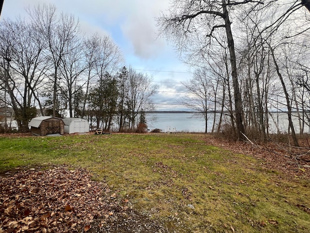 view of yard with a water view and a storage unit