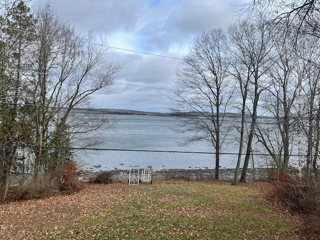 45 Douglas Dr, Newport, ME 04953 - water view