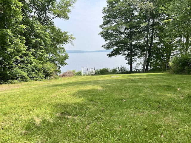 45 Douglas Dr, Newport, ME 04953 - view of grassy yard with a water view