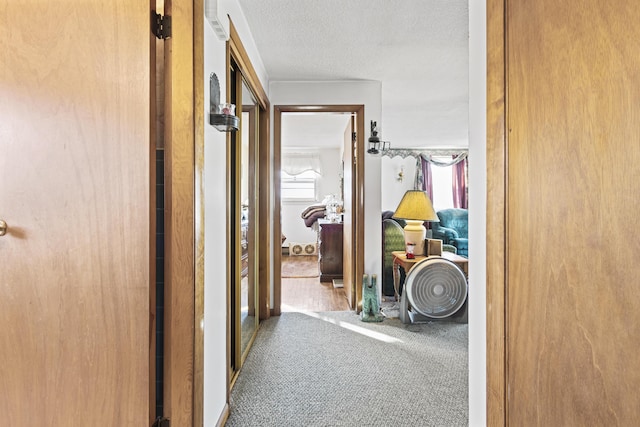 hallway with a wealth of natural light, carpet, and a textured ceiling