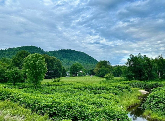 view of mountain feature with a water view