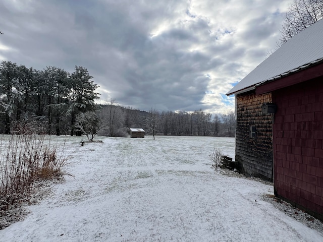 view of snowy yard