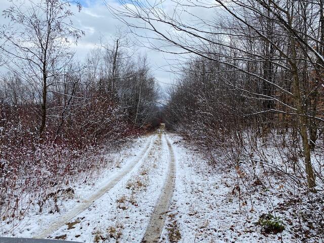 00 Marquis Rd, Van Buren, ME 04785 - photo 14