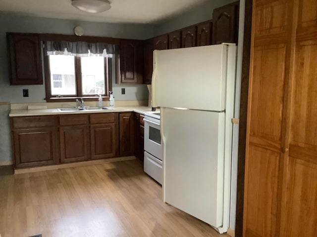 kitchen featuring dark brown cabinets, white appliances, light hardwood / wood-style floors, and sink