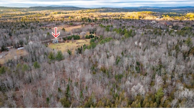 20 Monument Rd, Abbot, ME 04406 - aerial view featuring a view of trees