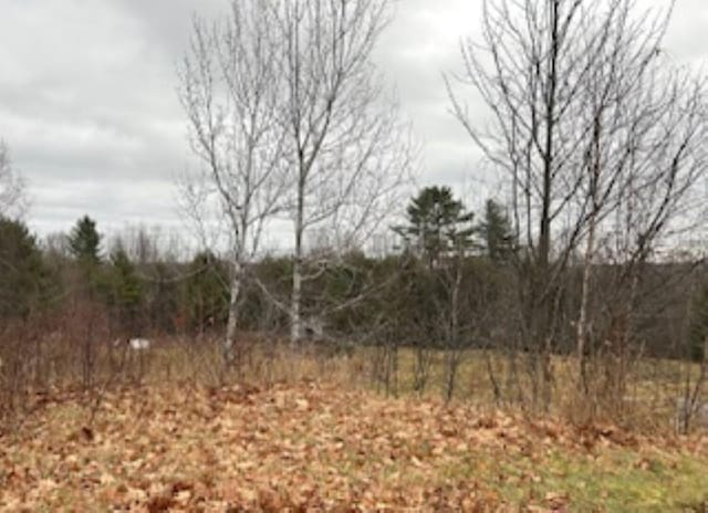 20 Monument Rd, Abbot, ME 04406 - view of landscape