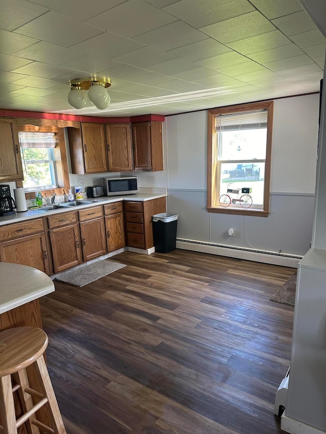 kitchen with a baseboard radiator, sink, and dark hardwood / wood-style floors