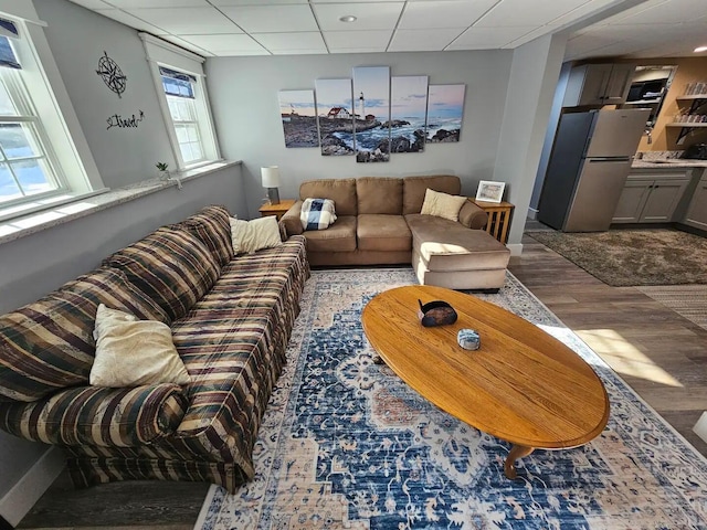 living room with plenty of natural light, wood-type flooring, and a drop ceiling