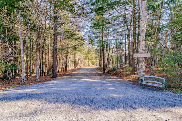 view of street with a wooded view