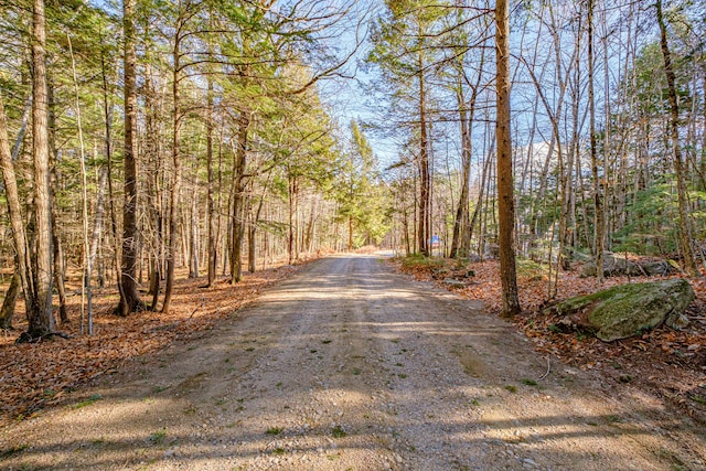 view of road with a wooded view