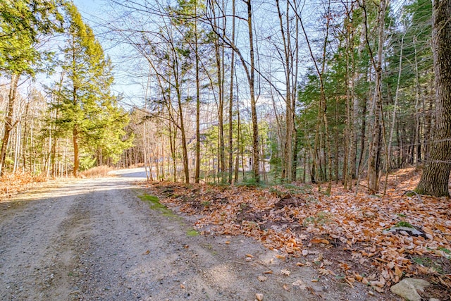 view of street with a view of trees