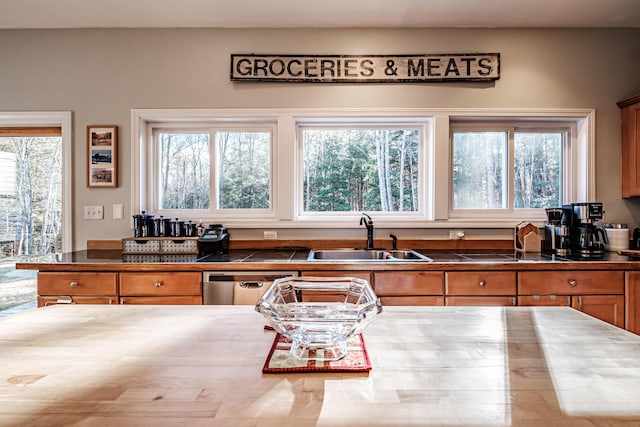 kitchen with a sink, dishwasher, a wealth of natural light, and brown cabinetry