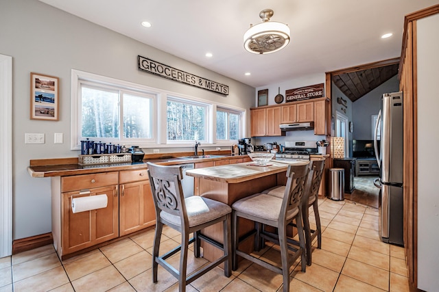 kitchen with under cabinet range hood, light tile patterned floors, recessed lighting, appliances with stainless steel finishes, and a sink