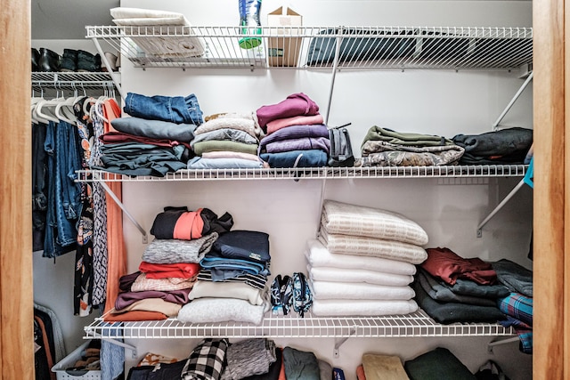 view of walk in closet