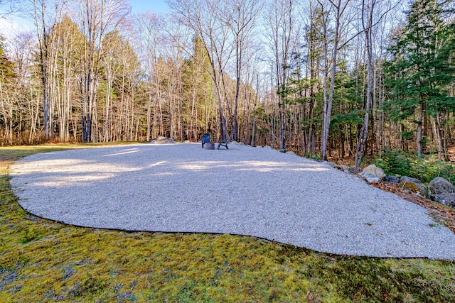 view of yard featuring a wooded view