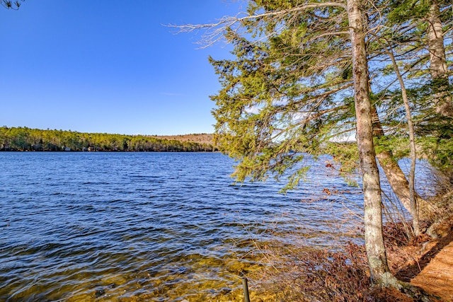 water view featuring a forest view