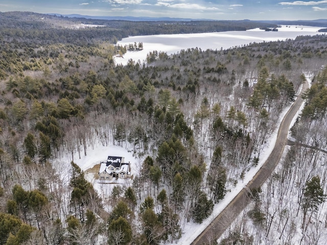 birds eye view of property featuring a view of trees and a water view