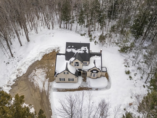 view of snowy aerial view