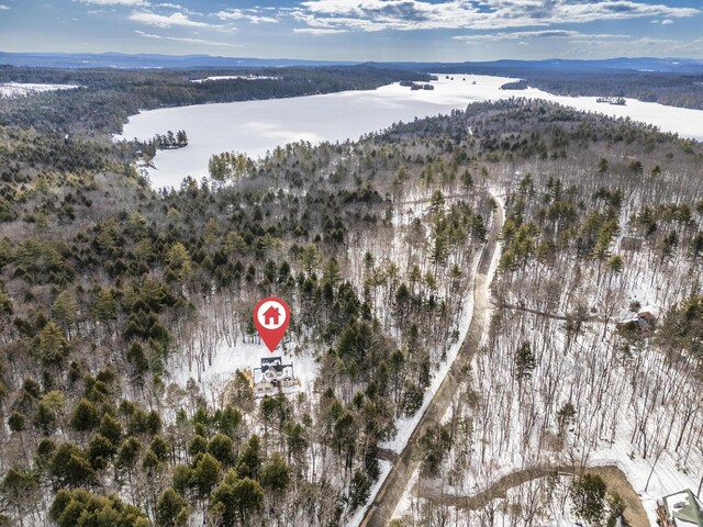 bird's eye view with a wooded view