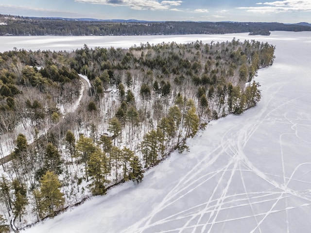 birds eye view of property featuring a wooded view