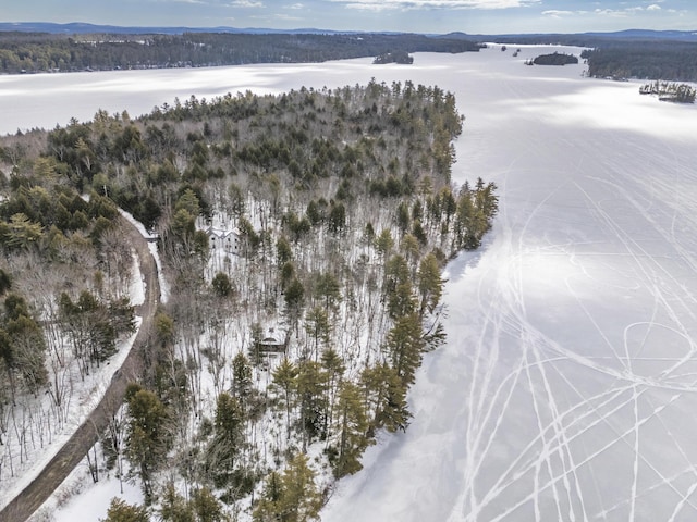 drone / aerial view with a wooded view