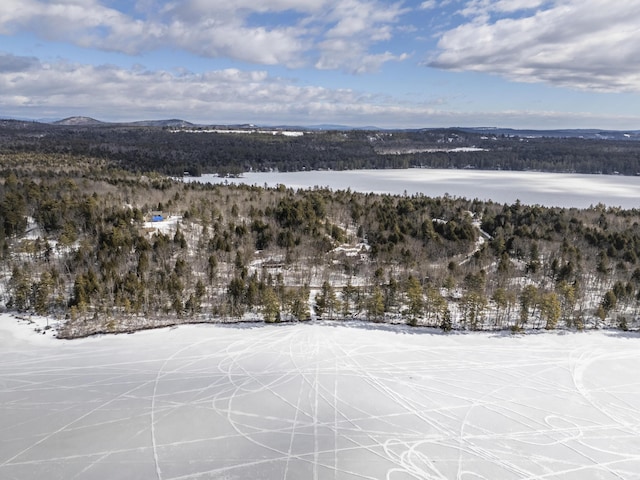 snowy aerial view with a wooded view