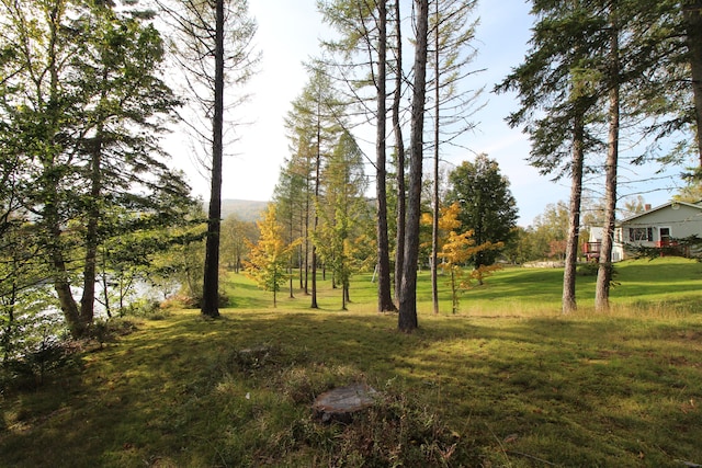 view of landscape