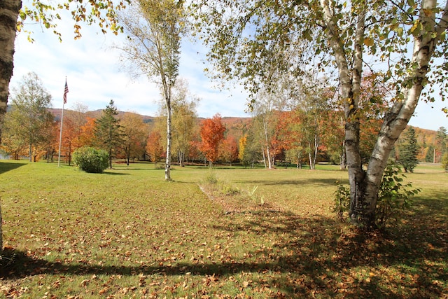 view of home's community featuring a mountain view and a yard