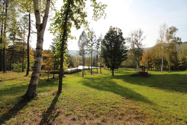 view of community featuring a water and mountain view and a lawn