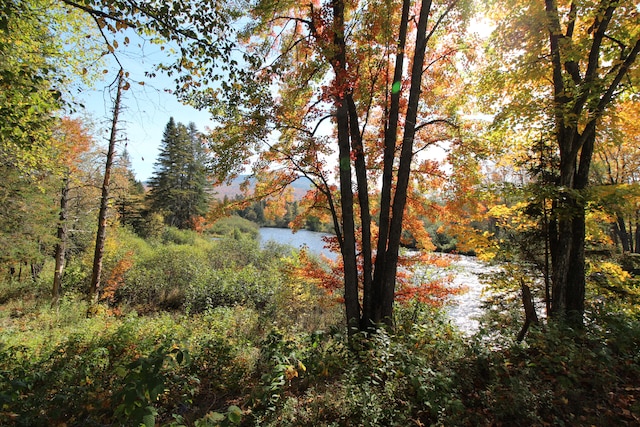 view of nature featuring a water view