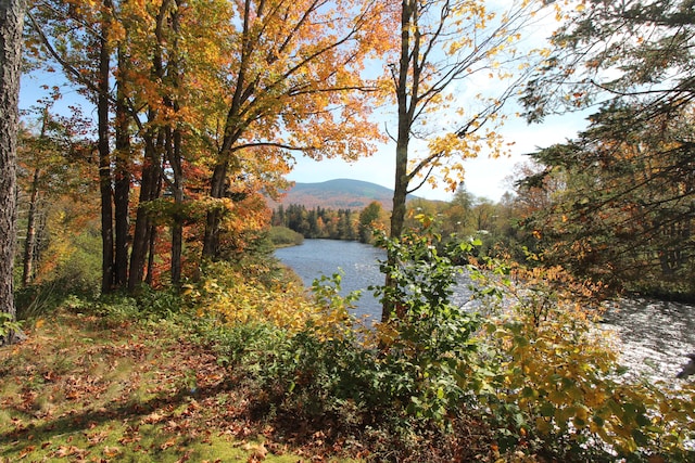 property view of water with a mountain view