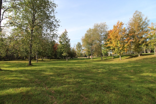 view of property's community featuring a yard