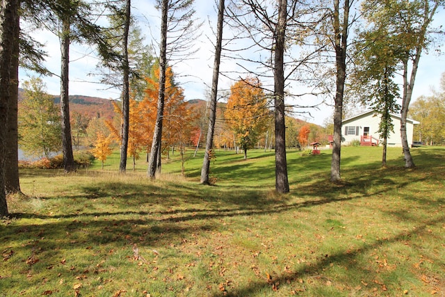 view of yard with a mountain view