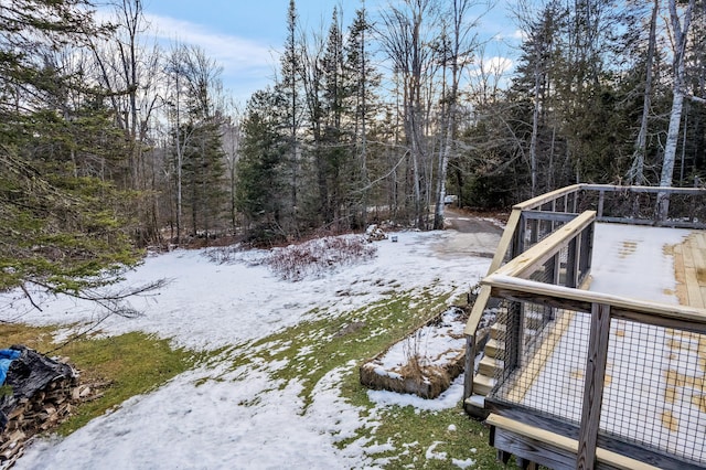 view of yard covered in snow