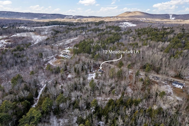 aerial view with a mountain view