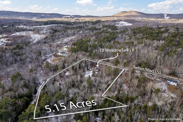 birds eye view of property featuring a mountain view