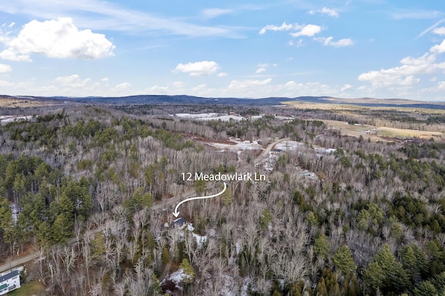 bird's eye view featuring a mountain view